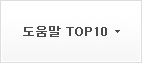 도움말 TOP 10